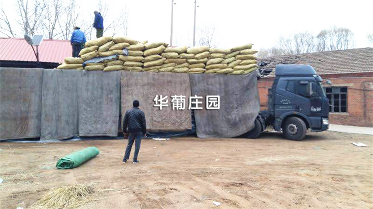 XCLL2-25T/30T移動龍門液壓裁斷機 XCLL2-25T/30T移動龍門液壓裁斷機